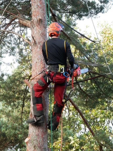 The 10 Most Dangerous Jobs for Men and why You Should Consider Working with a Roofing Professional in Denver