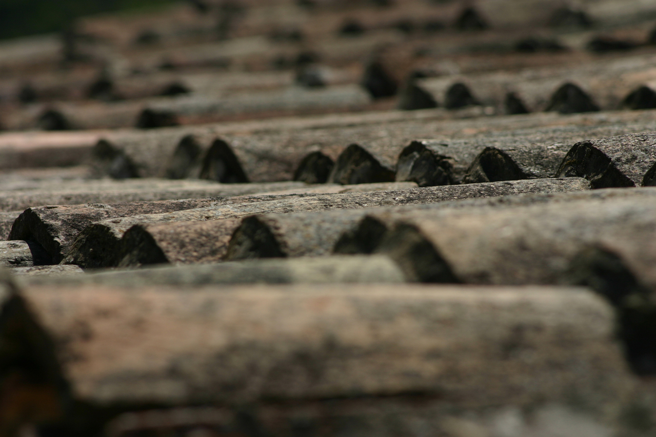 How Should Managers Assess the State of their Denver Commercial Roof System?