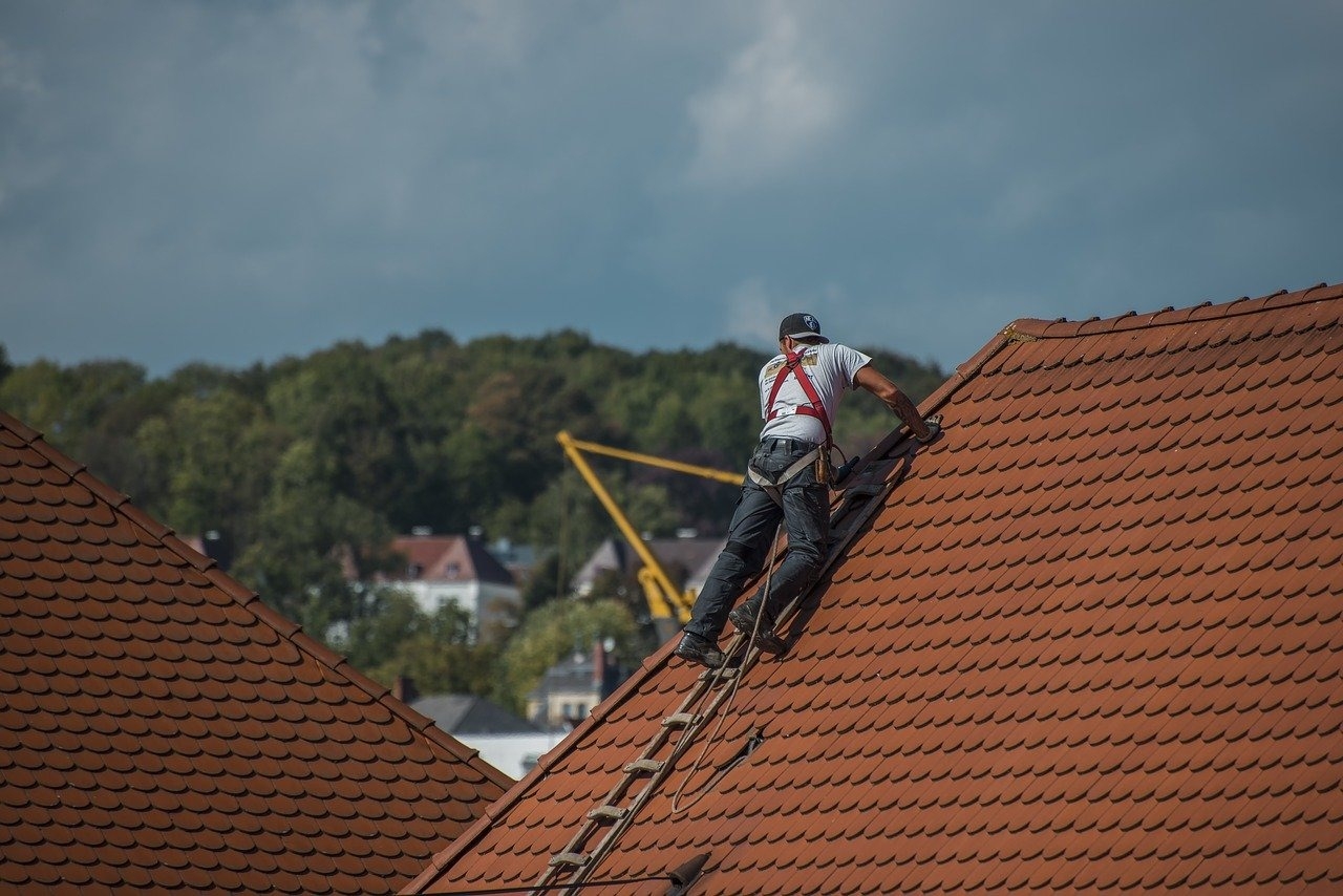 What To Do If You Have a Roof Leak in Your Denver Home