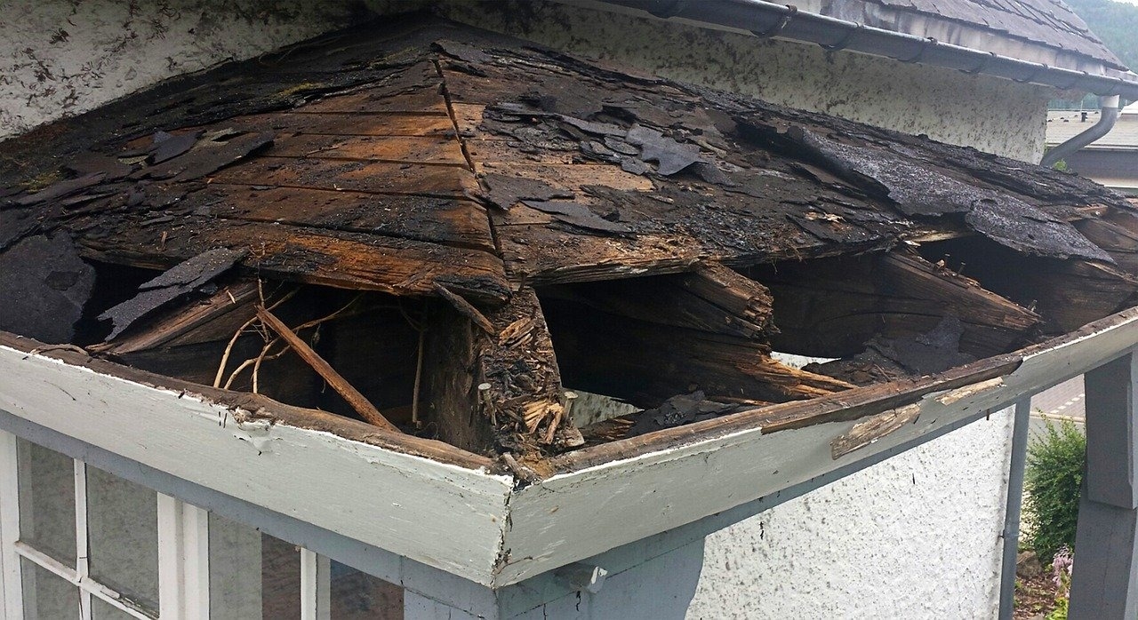 Signs Your Roof Needs to be Repaired